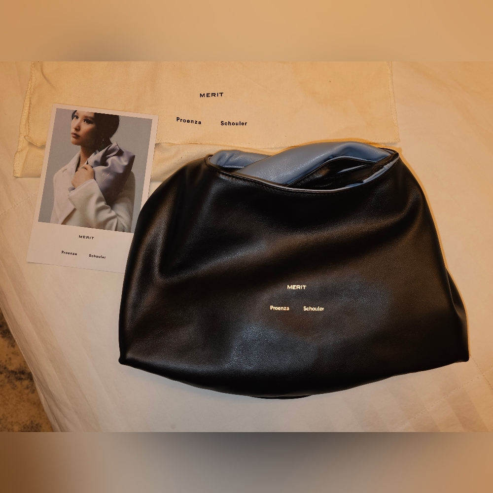 Proenza Schouler pouch
